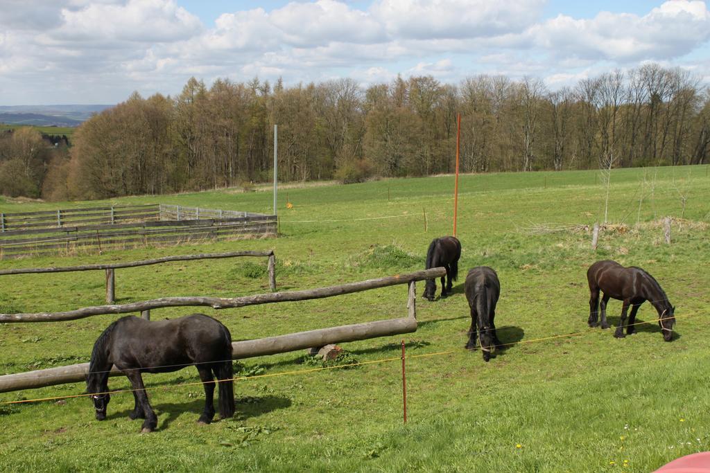 Kutschergasthof Am Sonnenstein Extérieur photo